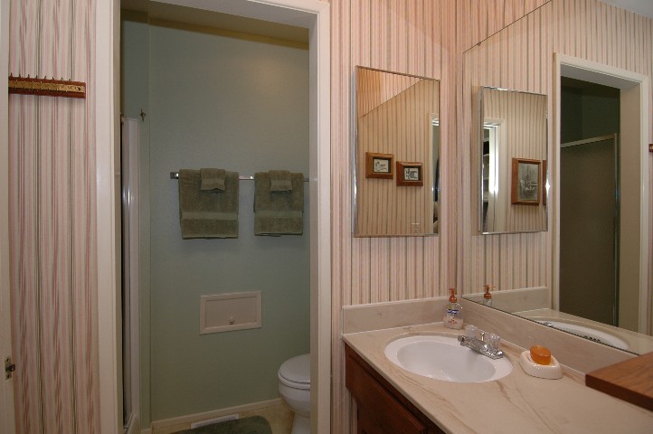 See the little door in front of the toilet?