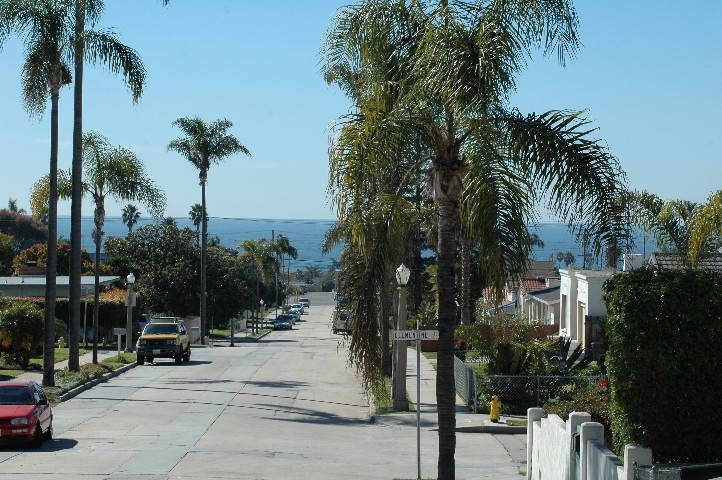 Quiet wide Streets in Beautiful Plumosa Heights