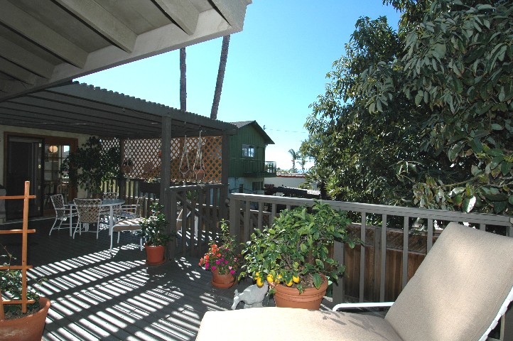 Winter in Oceanside... smell the citrus... and Ocean Air...