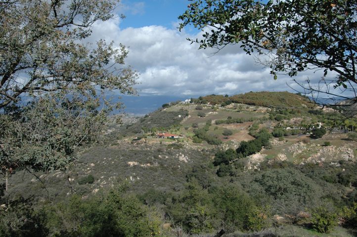 Mature Native Oaks frame the views... 