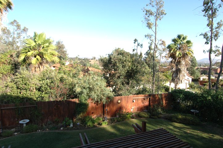 Panoramic East Views