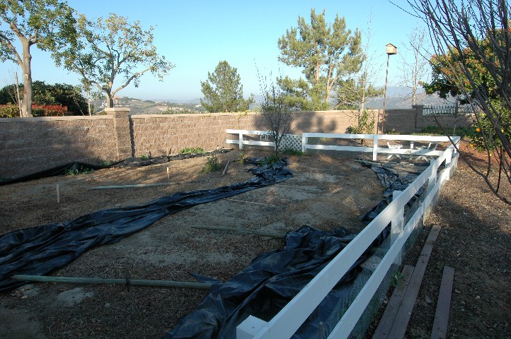 Vegetable Gardening done here...