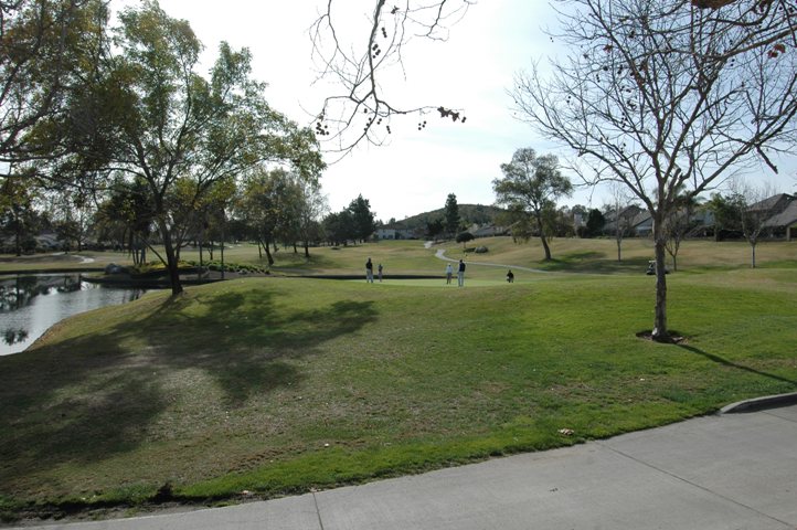 8th Green... looking back toward Paradise