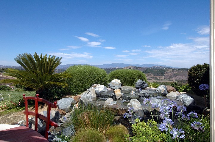 Fallbrook Sunny