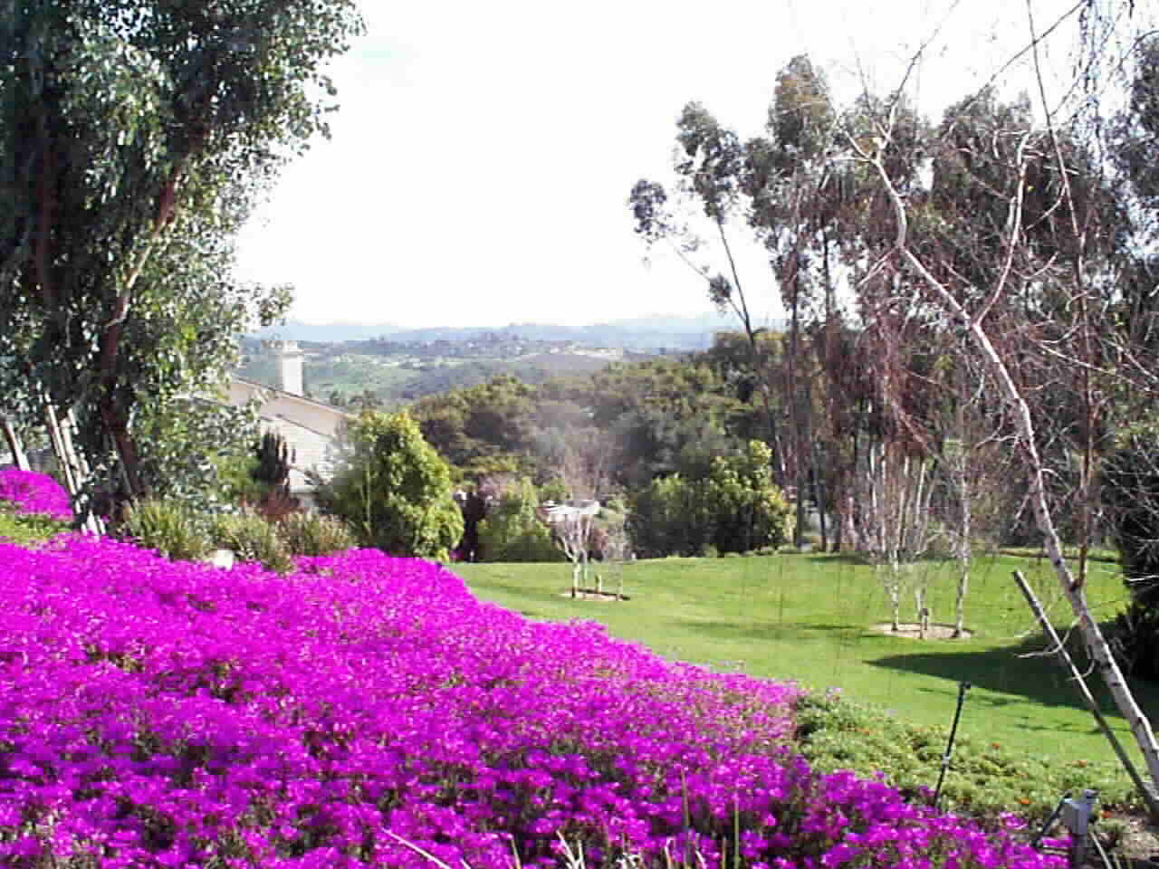 What a view... and this is the only neighbor in sight !