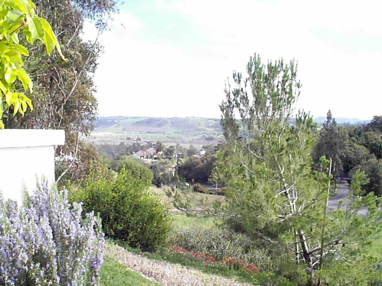 The Beautiful San Luis Rey River Valley... weather paradise !