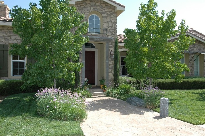 A Classic Tuscan Entry...
