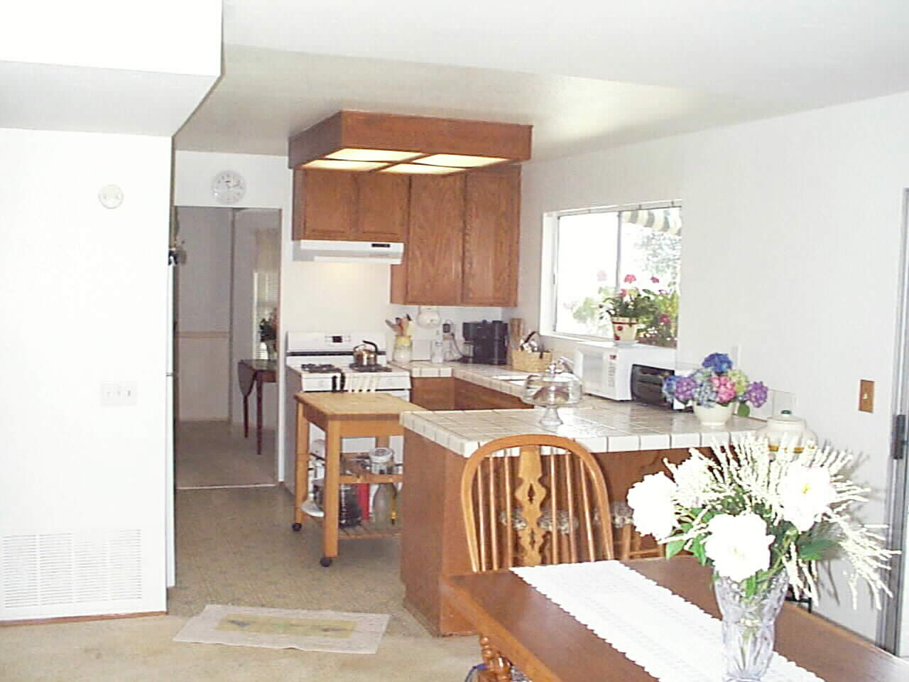 Party Central Kitchen with Parents view of Back Yard