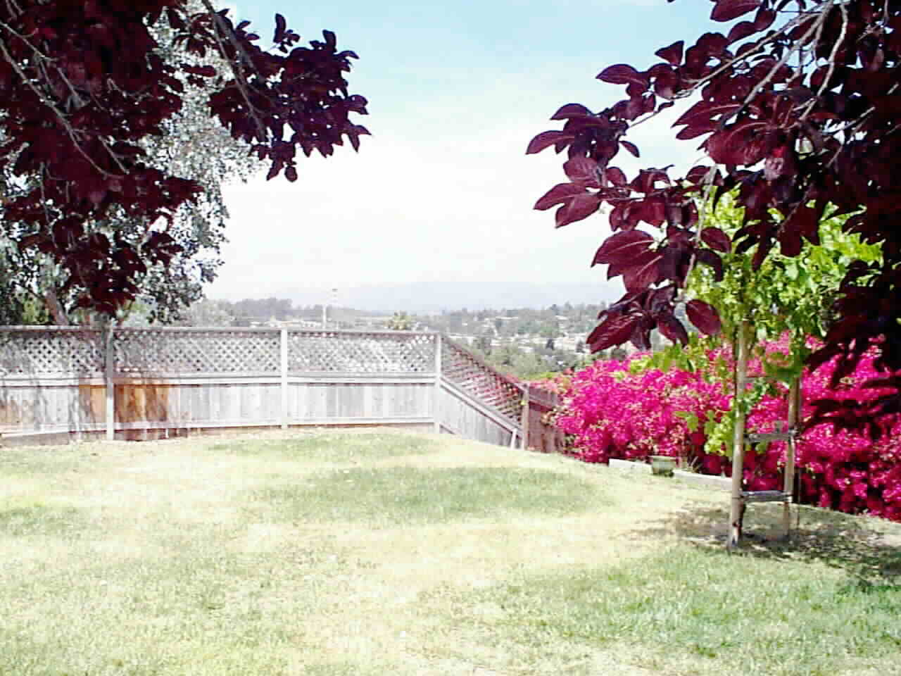 Family Size Yard.. room for Pool.. and what a view!