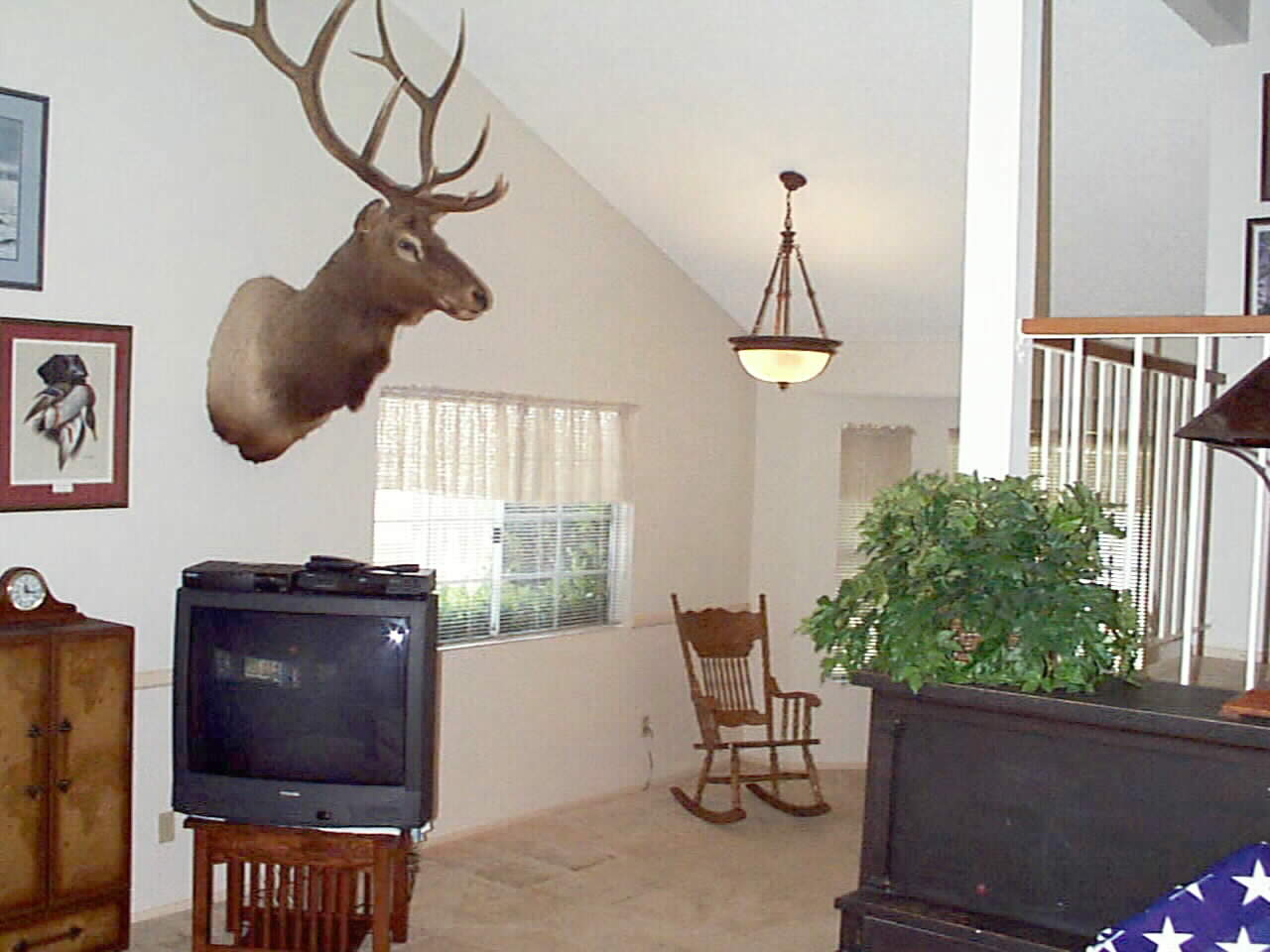 Dramatic High Vaulted Ceilings ... Bring your own Elk!