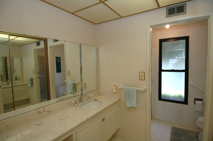 Larger Master Bath... years ahead of it's time...