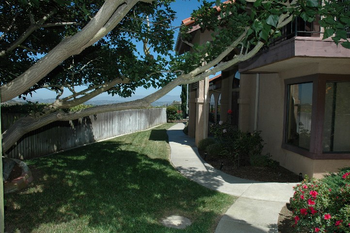 Bonsall California View Estate in Hialeah Estates