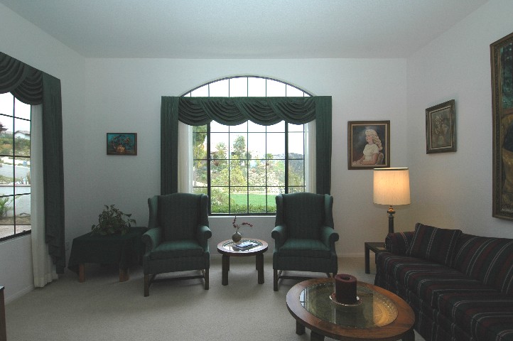 Serene Formal Living Room... with views...