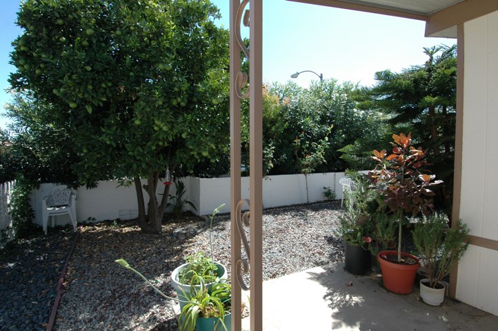 Great Oranges at this San Marcos Mobile Home for Sale