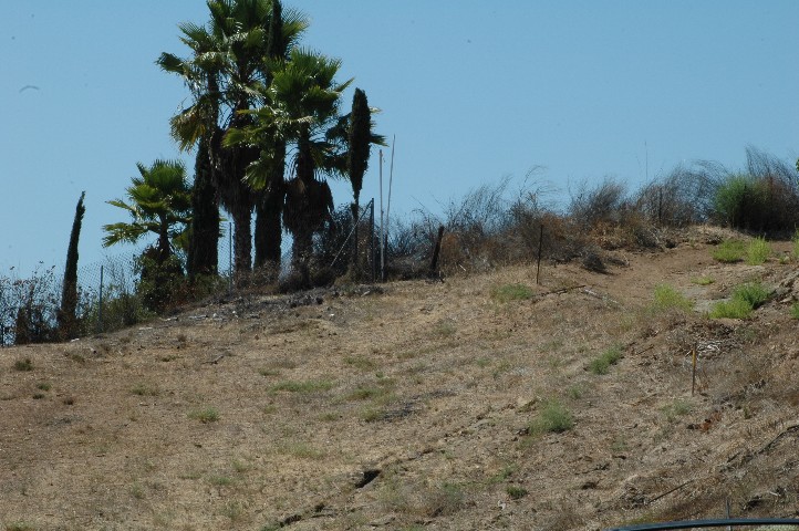 Northwest Corner... surveyed... marked... and fence line staked