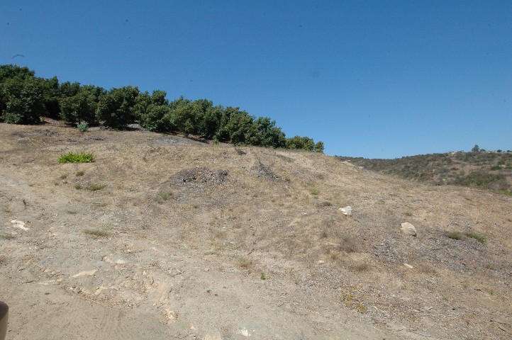 Main Building pad cut... seen from lower pad by the trees.