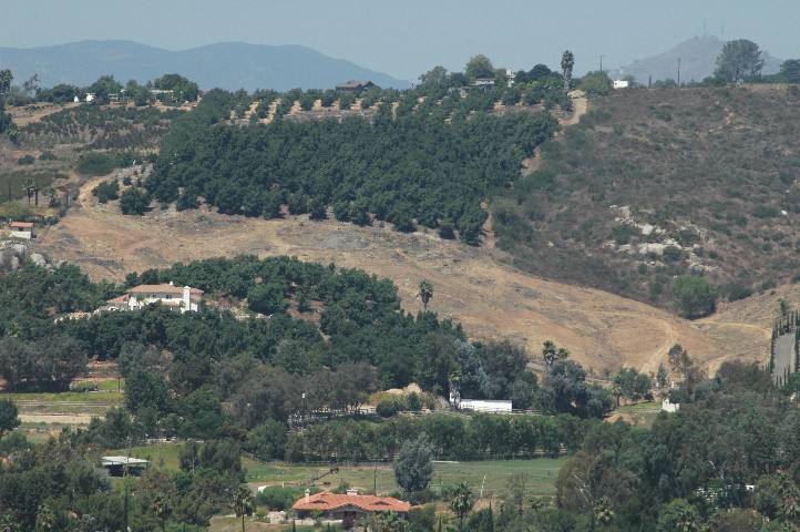 Bonsall Land for Sale