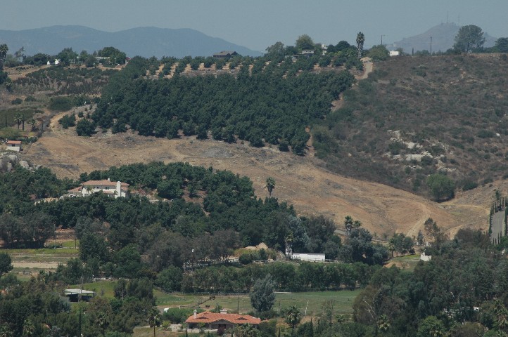 5.01 Acres of Bonsall Paradise