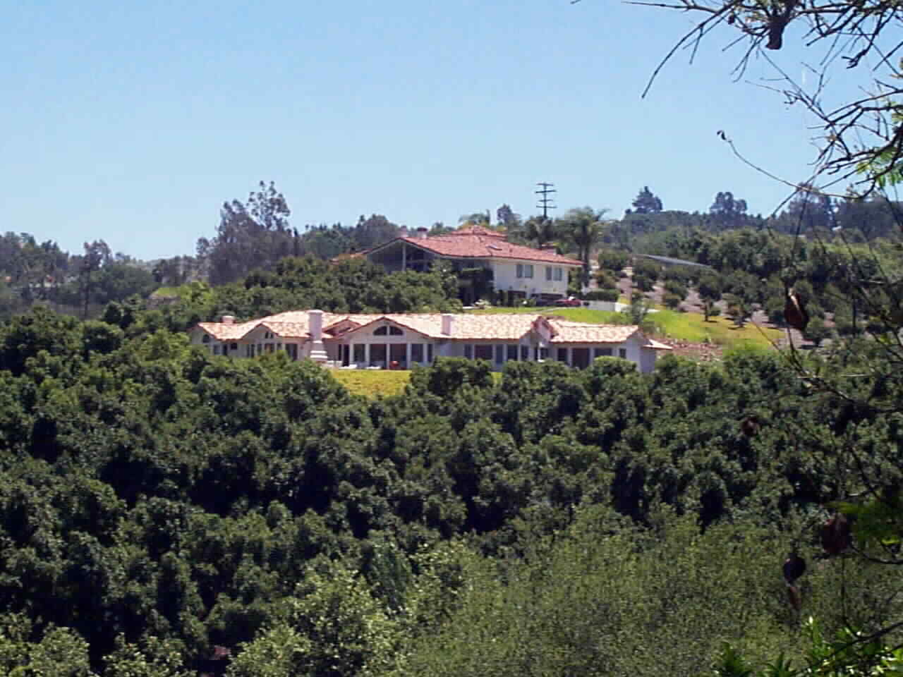 Fallbrook Real Estate with over 500 Haas Avocado Trees