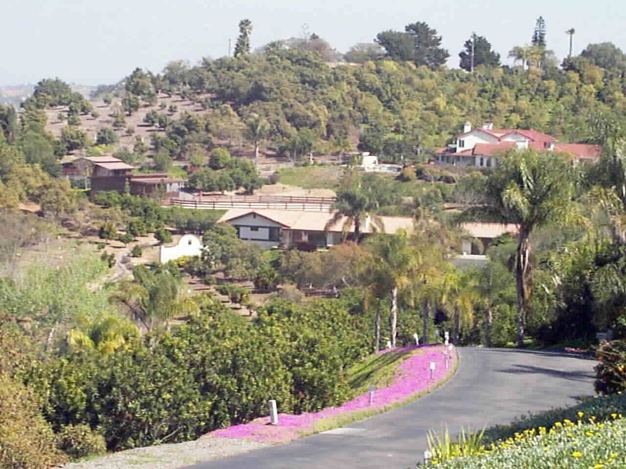 Tucked into the hillside.. hidden from the Santa Ana Winds.. but with unobstructed Panoramic Views.