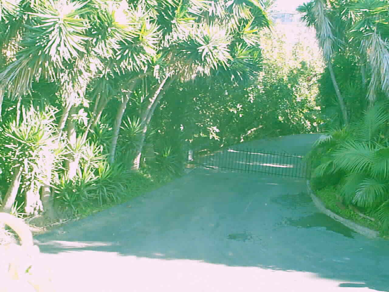 Gated... Secluded... Private... Tropical Entrance to 500' Driveway