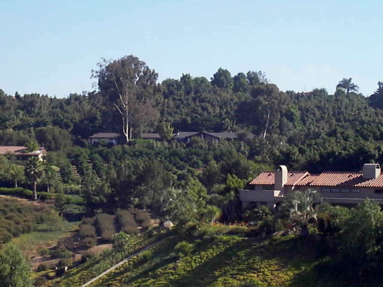 View from across the Valley of 6447 Via De La Reina