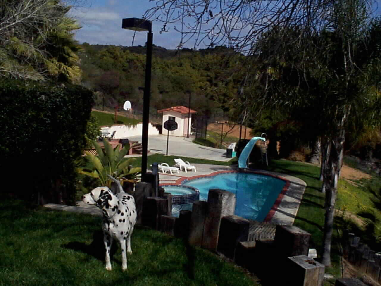 A dog's life in Bonsall