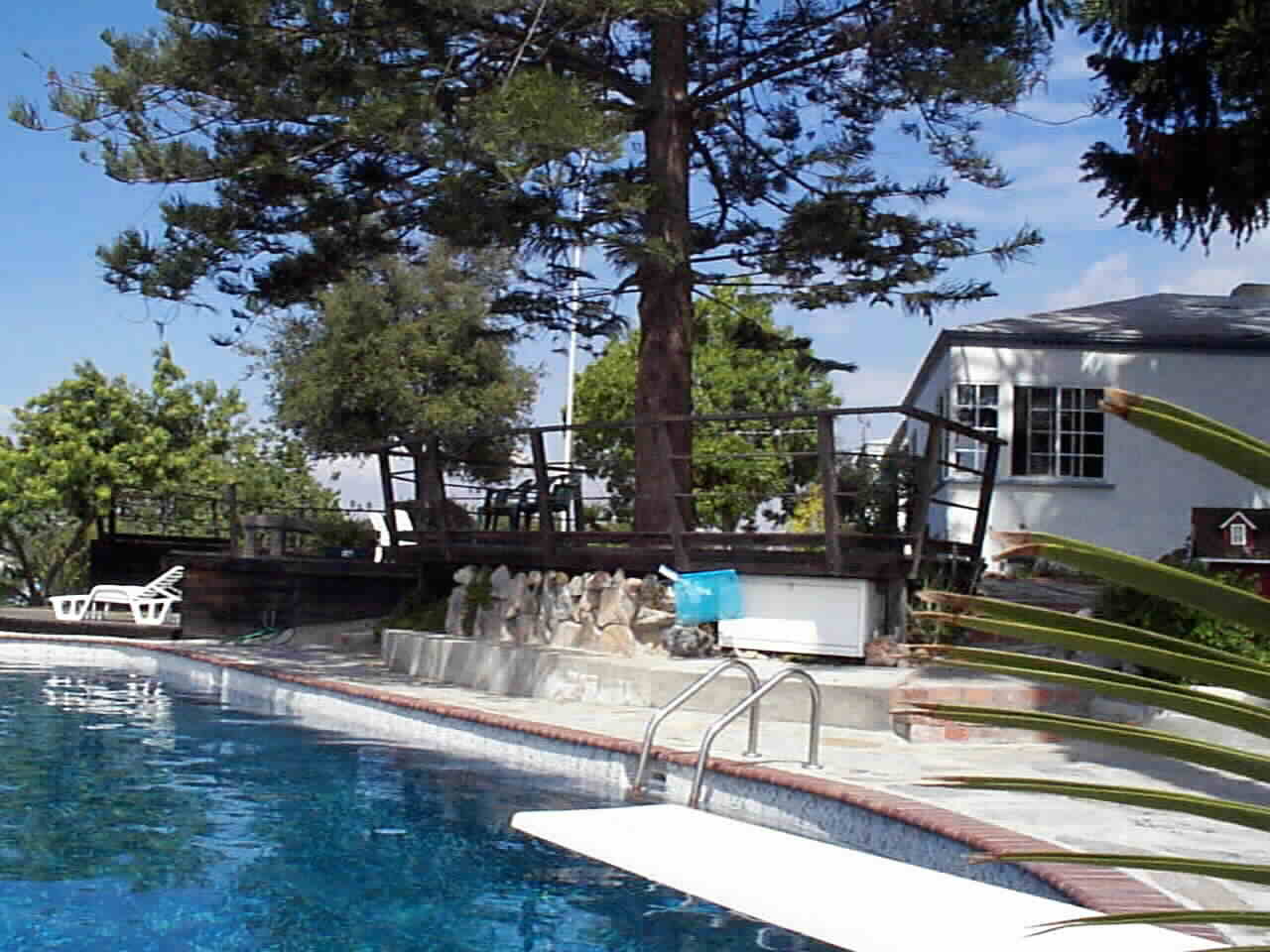 Irrigation Tank  Swimming Pool with Banyan Banyan (Monkey Tail Pine) Tree