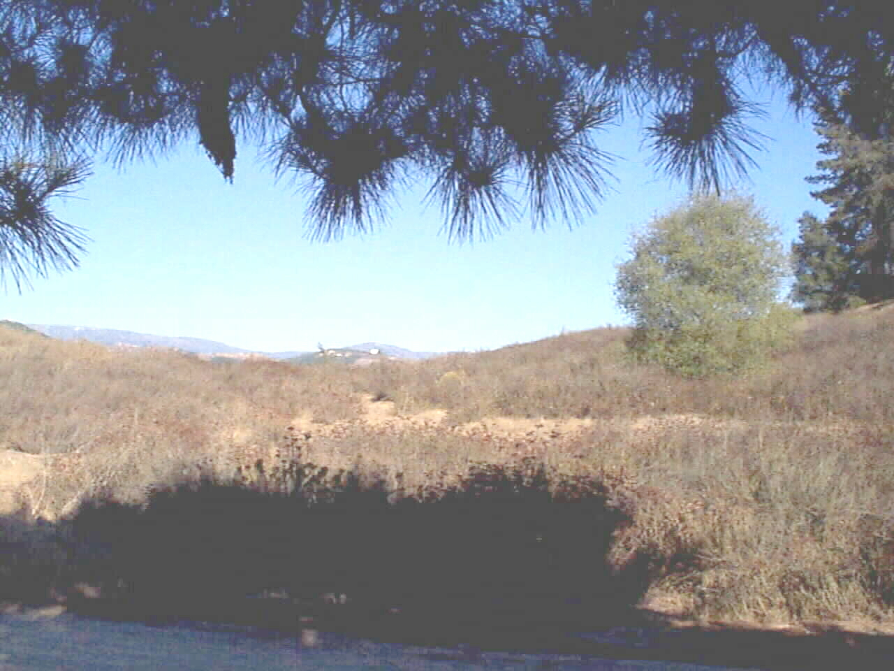 Valley Center Building Site with Beautiful View