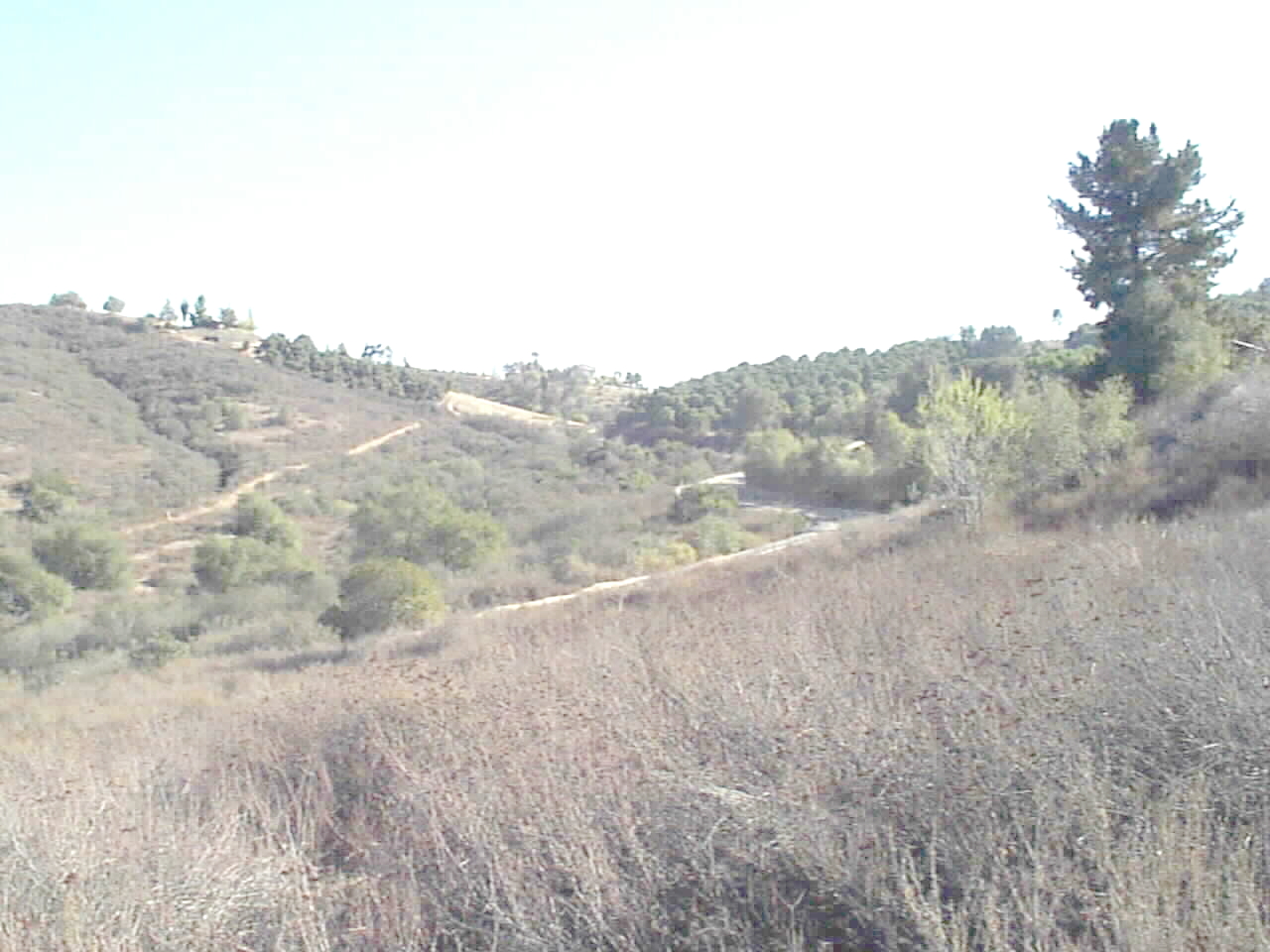 View of Lilac Road to the South