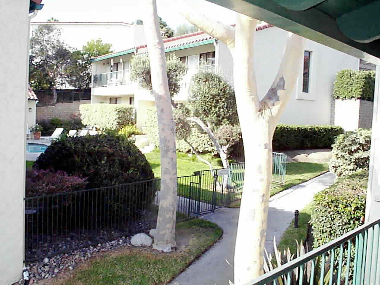 Serene shaded View into Lushly planted Common Area