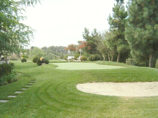 Home Golf... Just like Tiger has !