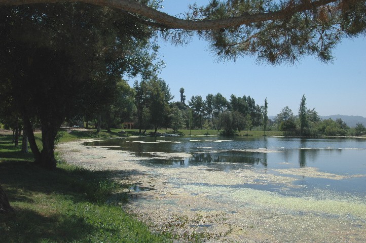 The Community Owned Private Lake & Picnic Grounds